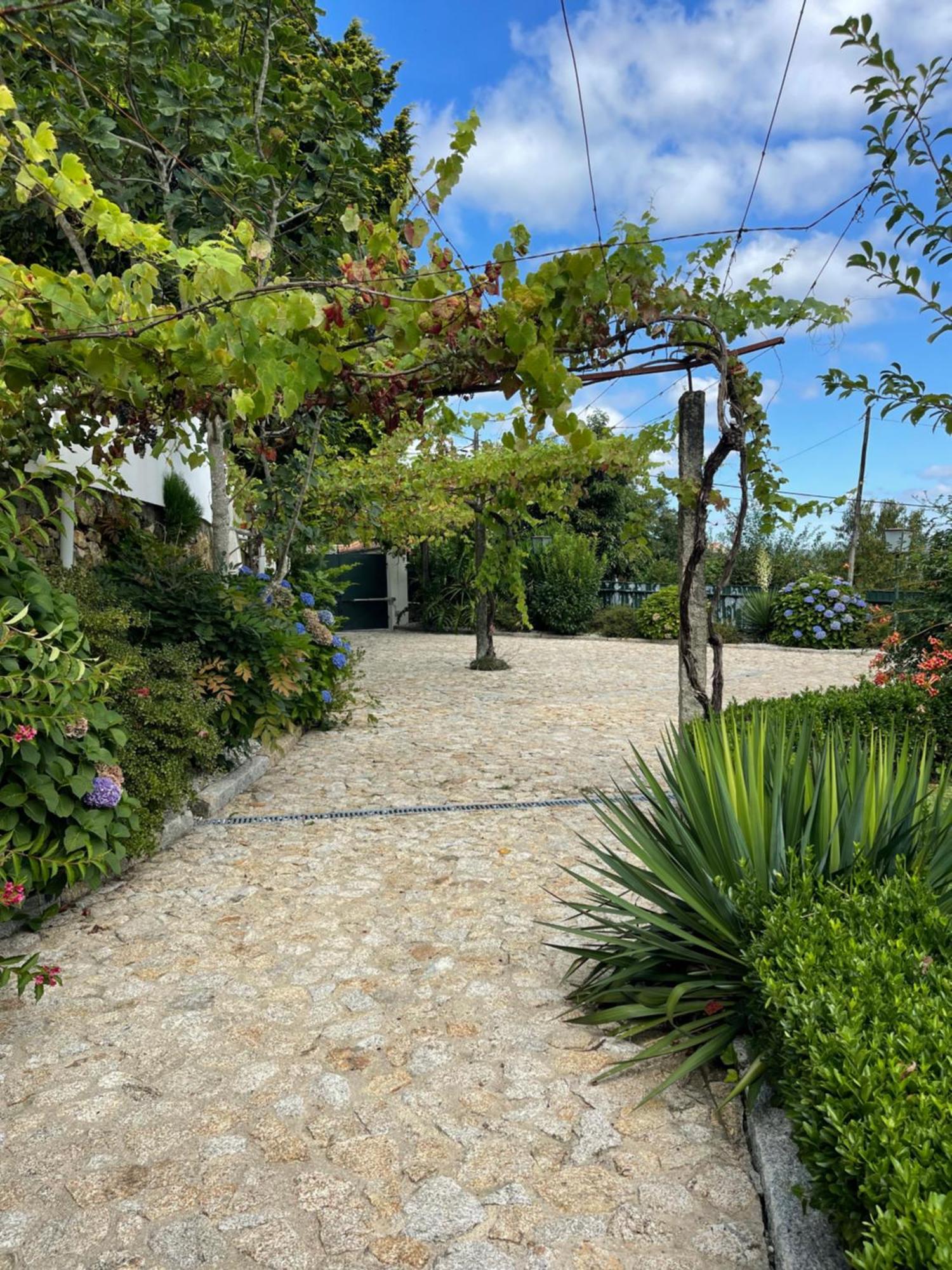 Vila Aurora Parada de Gatim Bagian luar foto